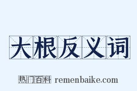 大根反义词是什么意思的图片